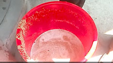 藜麦除杂丝瓜视频黄片地址效果对比：藜麦液体分离效果