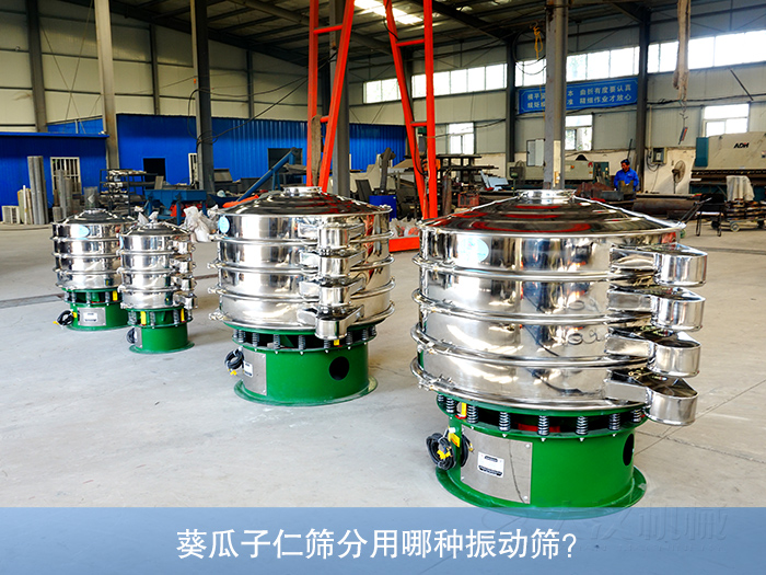 葵瓜子仁丝瓜视频黄片地址