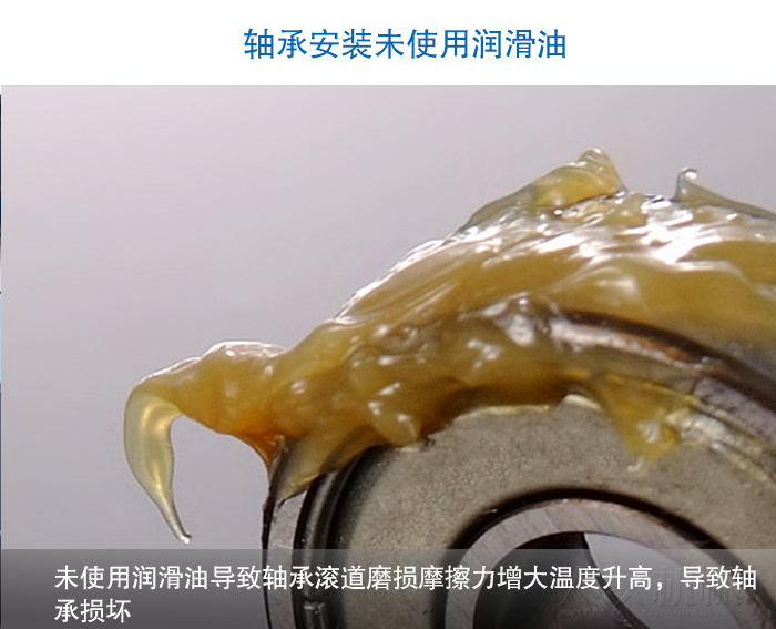圆丝瓜视频黄片地址